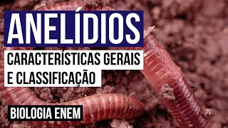 ANELÍDIOS características gerais e classificação  Biologia para o Enem  Cláudia de Souza Aguiar [upl. by Dicks]