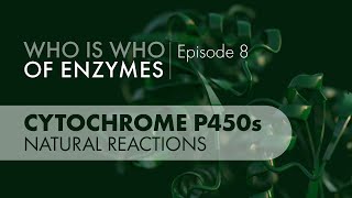 Who Is Who of Enzymes Cytochrome P450 Monooxygenases Natural Reactions [upl. by Kenward]