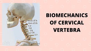 BIOMECHANICS OF CERVICAL VERTEBRA [upl. by Longerich]