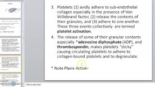 Platelets Thrombocytes [upl. by Kablesh]