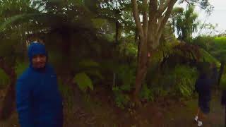 Donald McLean and Puriri Ridge Tracks Huia Waitakere Ranges West Auckland New Zealand [upl. by Abbub234]