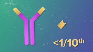 Introduction to single domain antibodies [upl. by Irpak603]