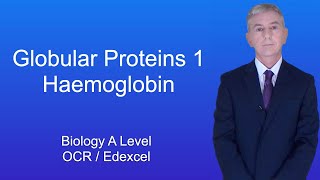 A Level Biology Revision quotGlobular Proteins 1 Haemoglobinquot [upl. by Lotsyrc]