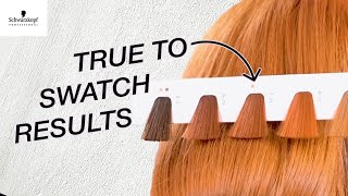 IGORA ROYAL Hair Color Match  True to Swatch Test  Schwarzkopf Professional USA [upl. by Neville703]