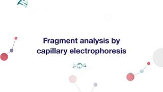 CE Fragment Analysis [upl. by Jehiel]