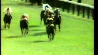 1970 Gimcrack Stakes York Mill Reefavi [upl. by Artemisia]