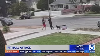 Pomona couple attacked by pit bull [upl. by Shana808]