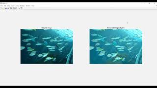 Underwater Image Enhancement Based on Adaptive Color Correction and Improved Retinex Algorithm [upl. by Bernt]