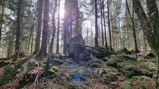 💮SPUREN IM STEIN  Neue Entdeckungen im Schwarzwald [upl. by Hermie474]