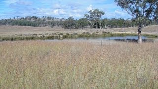 FOR SALE  quotDungorm Stationquot Gore Queensland Australia [upl. by Siouxie468]