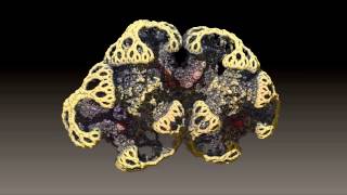 3D Fractal Artifacts  ZBrush Turntables [upl. by Grochow]