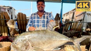 Paarai fish cutting videofishcuttingrsfish kasimedu kasimedufish fishcuttingrs [upl. by Rihana]