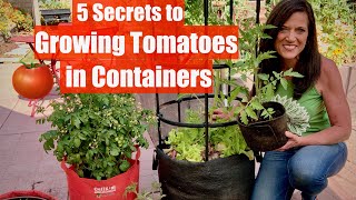 5 Secrets to Grow LOTS of Tomatoes in Containers  Container Garden Series 1🍅🍅🍅 [upl. by Edak]