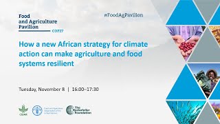 How a new African strategy for climate action can make agriculture and food systems resilient [upl. by Htirehc]