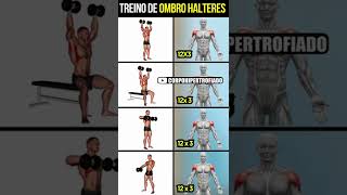 treino de ombro halteres  TREINO EM CASA OU ACADEMIA shorts [upl. by Valorie]