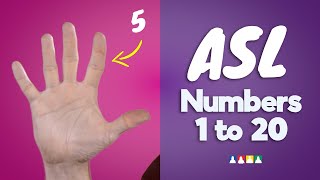 How to Count to 20 in Sign Language  ASL Numbers 120  ASL Counting [upl. by Isnam]