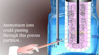 Reactions in a Leclanche Cell and Dry Cell or Battary [upl. by Dowell]