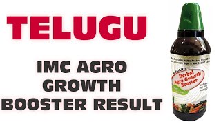 IMC AGRO GROWTH BOOSTER RESULT TELUGU II BEST MLM II BEST NETWORK COMPANY [upl. by Leraj]