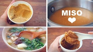 MISO SOUP 101 Benefits Uses Haul  5 Recipes [upl. by Hinze]