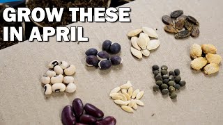 15 Seeds You Must Grow in April [upl. by Kcirderfla448]