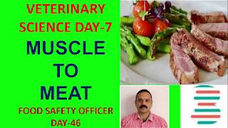 MUSCLE TO MEAT  VETERINARY SCIENCE DAY7 FOOD SAFETY OFFICER CRASH COURSE DAY46 [upl. by Monarski]