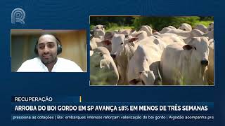 Boi gordo arroba sobe 20 em poucas semanas mas alta vai até fim do ano Confira  Canal Rural [upl. by Derriey]