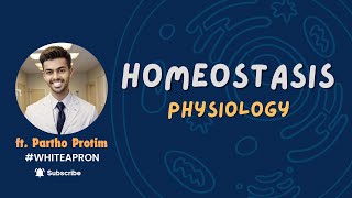 Homeostasis  Mechanisms of Homeostasis English  White Apron  ft Partho Protim [upl. by Deelaw]