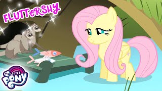 My Little Pony en español 🦄 Mejores momentos de Fluttershy  La Magia de la Amistad  Completo [upl. by Finley24]