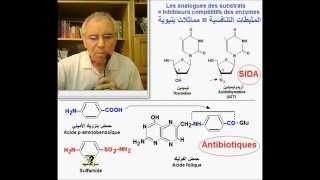 Enzymes Inhibiteurs compétitifs version Ar أنزيمات مثبطات تنافسية [upl. by Angelina377]