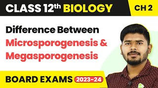 Difference Between Microsporogenesis and Megasporogenesis  Sexual Reproduction in Flowering Plants [upl. by Nywroc]