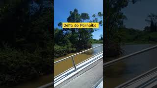 Delta do Parnaíba o paraíso que todo mundo tem que conhecer turismo parnaiba deltadoparnaiba [upl. by Ruscio]