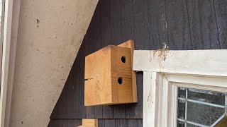 How to Make A Chickadee Condo Roosting Box [upl. by Tomasz]