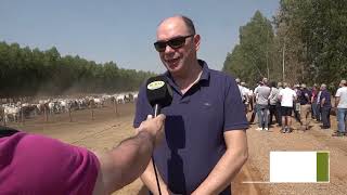 A CORRAL  feedlot que justifica el volumen de hacienda a partir de la necesidad de producir compos [upl. by Tnias227]