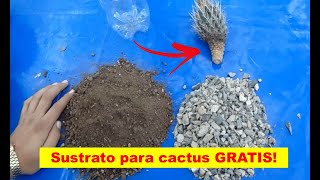 Sustrato para cactus y suculentas casero GRATIS [upl. by Kimmel]