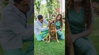 Descubre lo increíble que es estudiar Medicina Veterinaria y Zootecnia DescúbreteuUC Veterinaria [upl. by Herrah479]