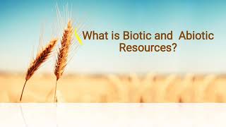 What is Biotic and Abiotic resources in Hindi [upl. by Custer926]