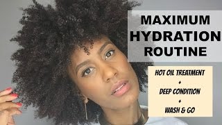 Maximum Hydration Routine For Super Healthy Afro Kinky Natural Hair [upl. by Vincenz]