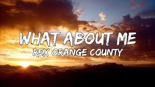 Rex Orange County  What About Me Lyrics  Television  So Far So Good [upl. by Marvel]