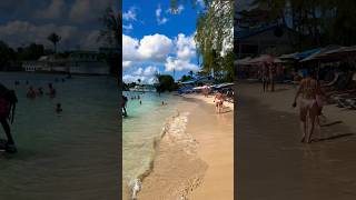 Barbados Best Beaches ✨📌🇧🇧☀️🏖️ Mullins beach ✨ shorts travel beach sea subscribe [upl. by Mikah]