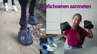 Dante krijgt hoefschoenen 😱😍  Hoefschoenen aanmeten [upl. by Nazler]