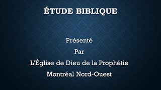 Rediffusion  Les conséquences de la générosité [upl. by Russi]