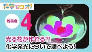 【自由研究】科学実験！光る花が作れる化学発光について調べよう！【科学でワオ！365】 [upl. by Itnahs]