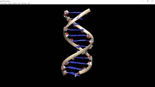 Chimera Tutorial How to Build a Nucleic Acid Duplex [upl. by Eilsehc944]