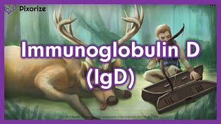 Immunoglobulin D IgD Mnemonic Preview for USMLE [upl. by Luis383]