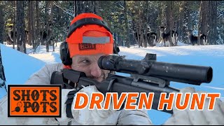 DRIVEN HUNT IN SWEDEN [upl. by Andri200]