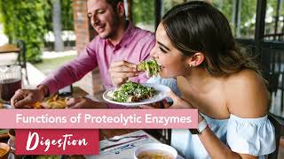 Proteolytic Enzymes The What and Why [upl. by Isnyl615]