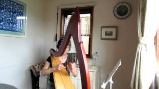 Irish Harp quotThe Nightingalequotby Debora HansenconantOn Salvi EganRoxana version [upl. by Sennahoj]