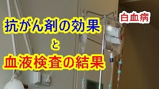 【白血病】抗がん剤の効果と血液検査の結果。データでわかります【闘病記】 [upl. by Keyes]