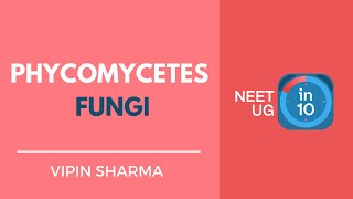 Phycomycetes  Fungi  NEET Biology  NEET UG in 10 [upl. by Romney]