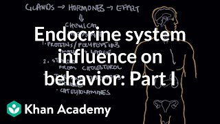 Endocrine system and influence on behavior  Part 1  Behavior  MCAT  Khan Academy [upl. by Lexine905]